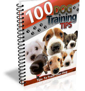 100 Dog Training Tips