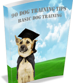 90 Dog Training Tips