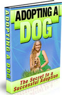 Adopting a Dog