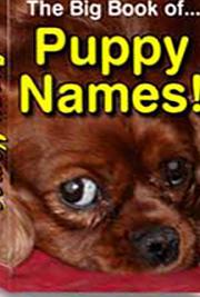 Big Book of Puppy Names