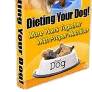 Dieting Your Dog
