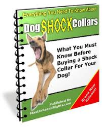 Everything you need to know about dog shock collar