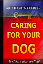 Caring For Your Dog The Information You Need.