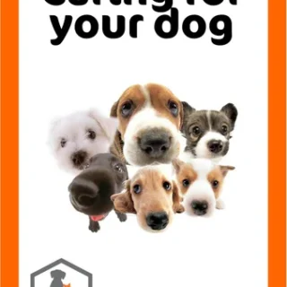 Caring For Your Dog: The Information You Need (Advanced Care Edition)