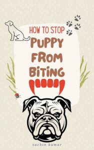 How to Stop Your Puppy or Older Dog from Biting